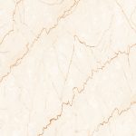 BAZEL - L - (300X450)