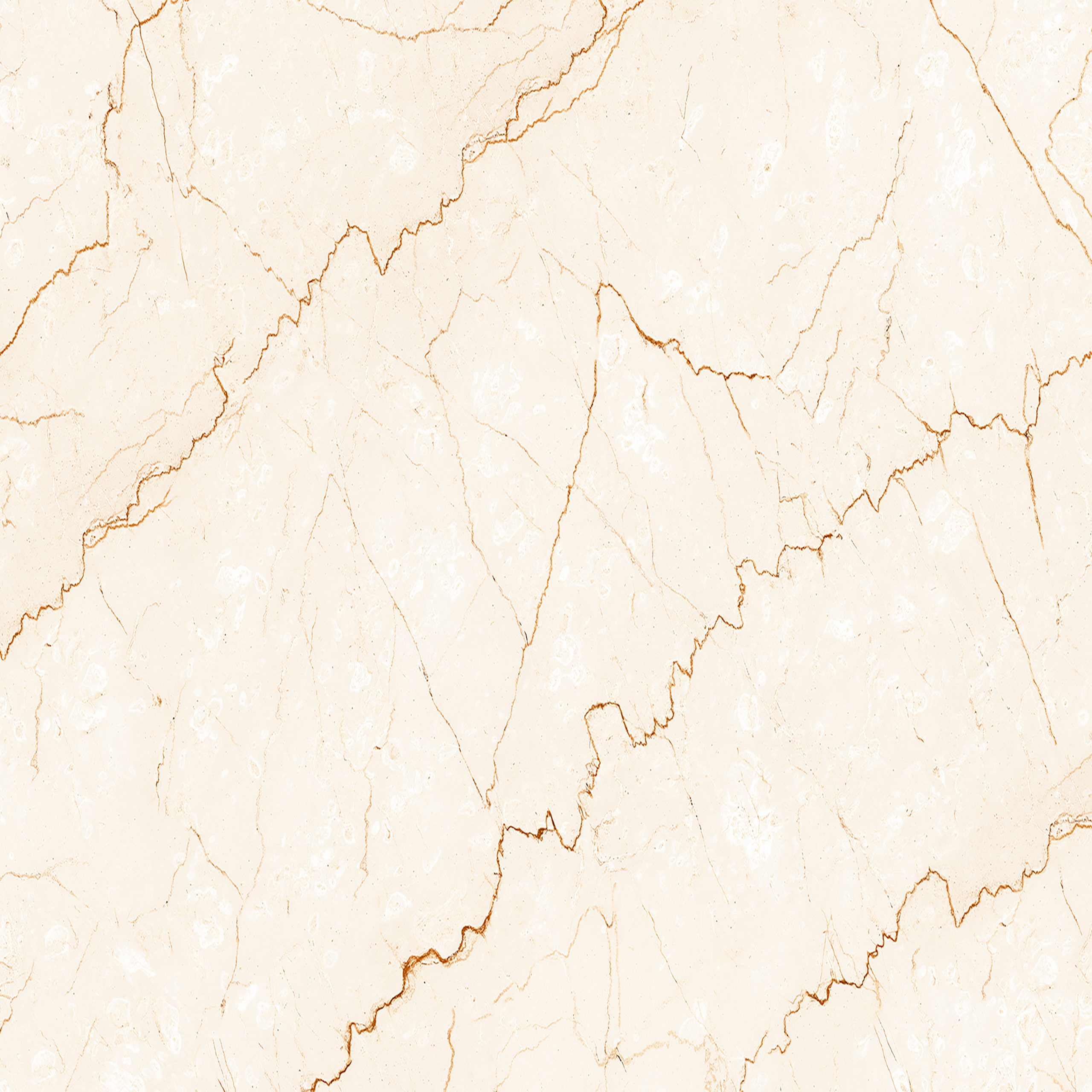 BAZEL - L BAZEL - L - (300X450) - Image 1