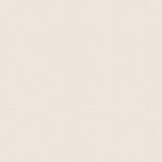 CINNAMON LITE  -  (600X1200)