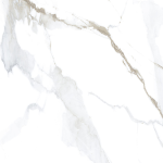 CONCH - (600X600) - Image 2