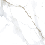 CONCH -  (600X1200) - Image 2