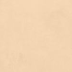 EARTHSTONE CREMA  -  (600X1200)