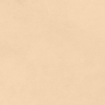 EARTHSTONE CREMA  -  (600X1200) - Image 2