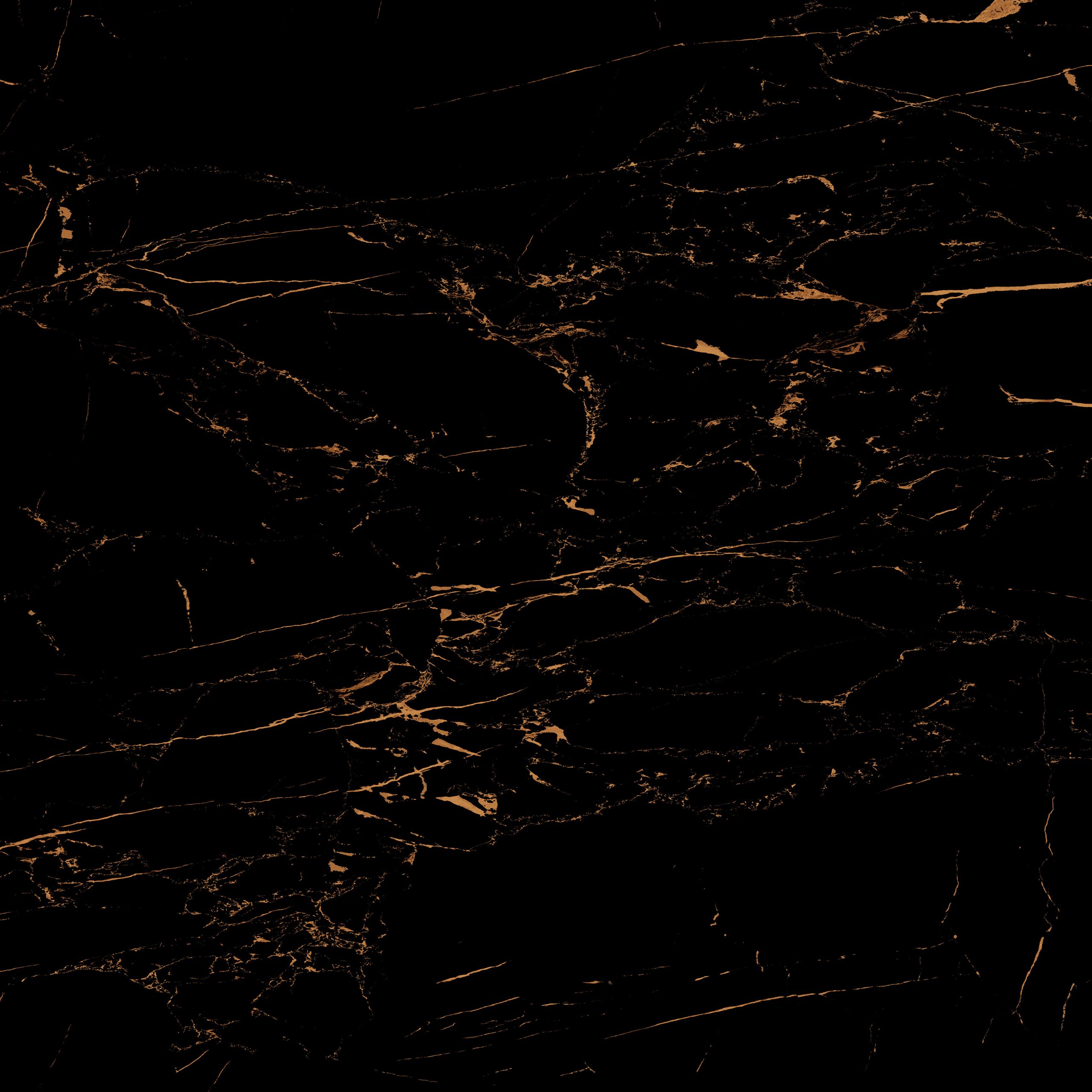 EBONY EBONY - (600X1200) - Image 1