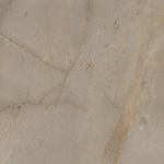 EMVISTA BROWN  -  (600X1200)