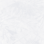 WHITE PARADISE -  (600X1200)